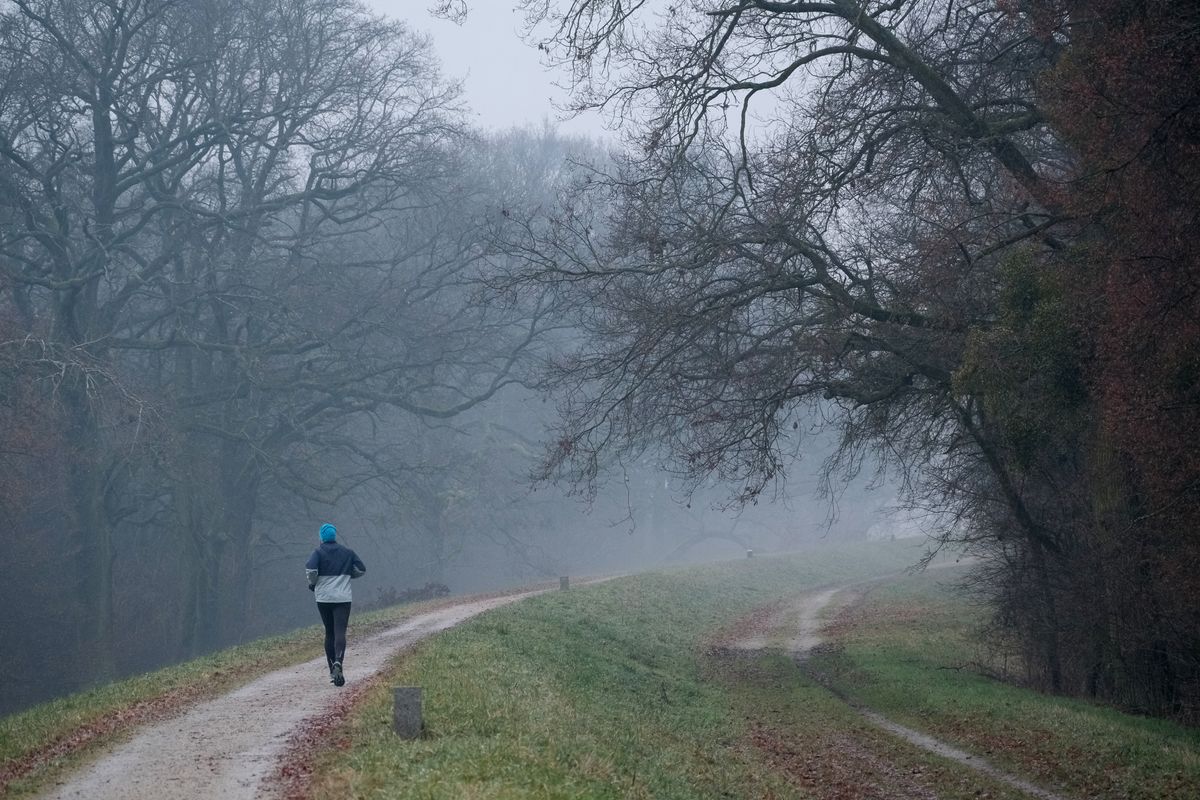 A runner on a misty path beneath bare trees.