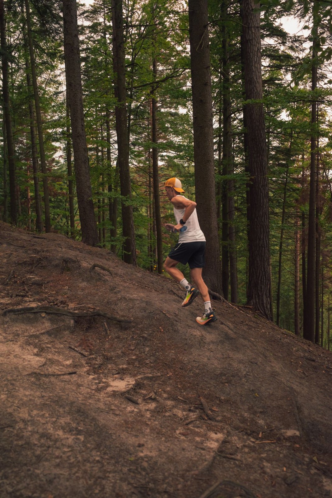 A runner climbs a short earth slope in woodland.