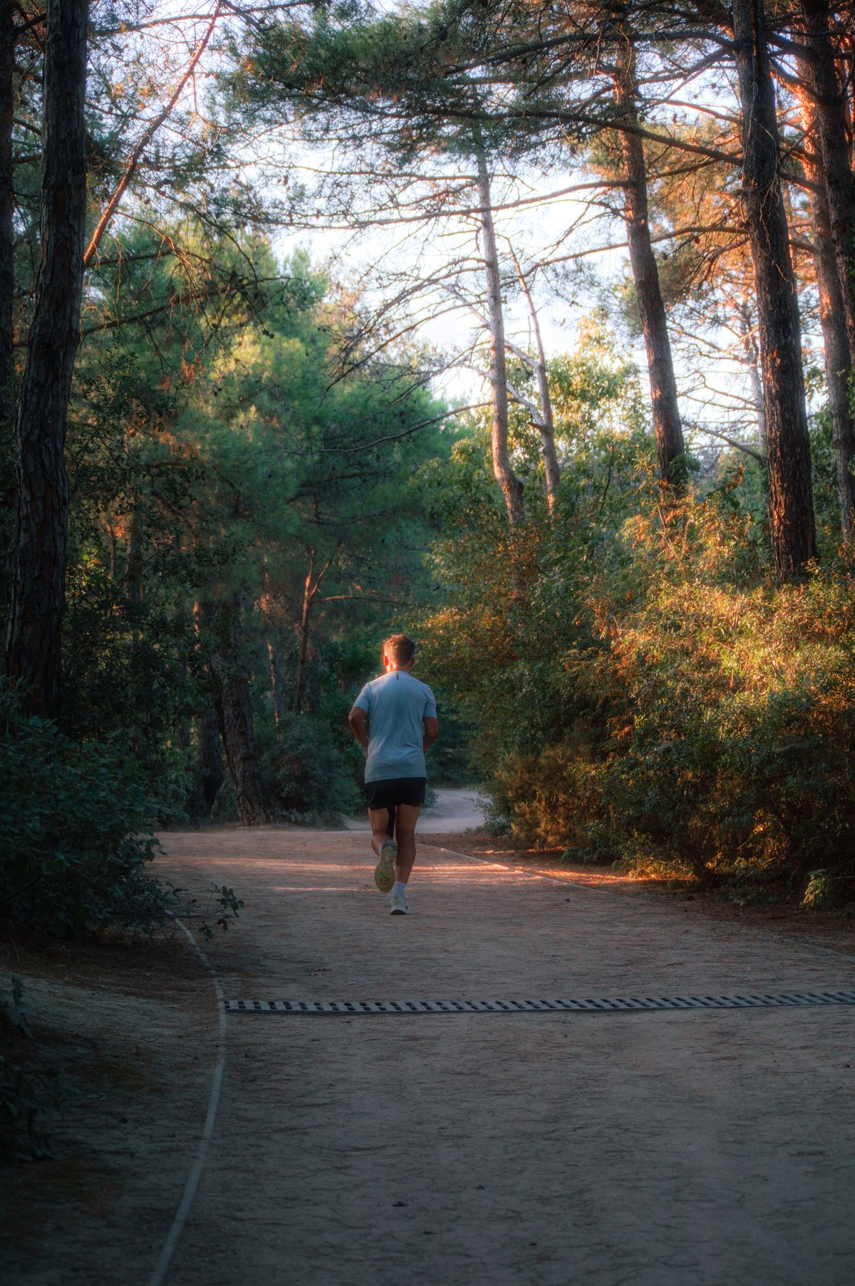A runner moving along a broad shaded forest path.