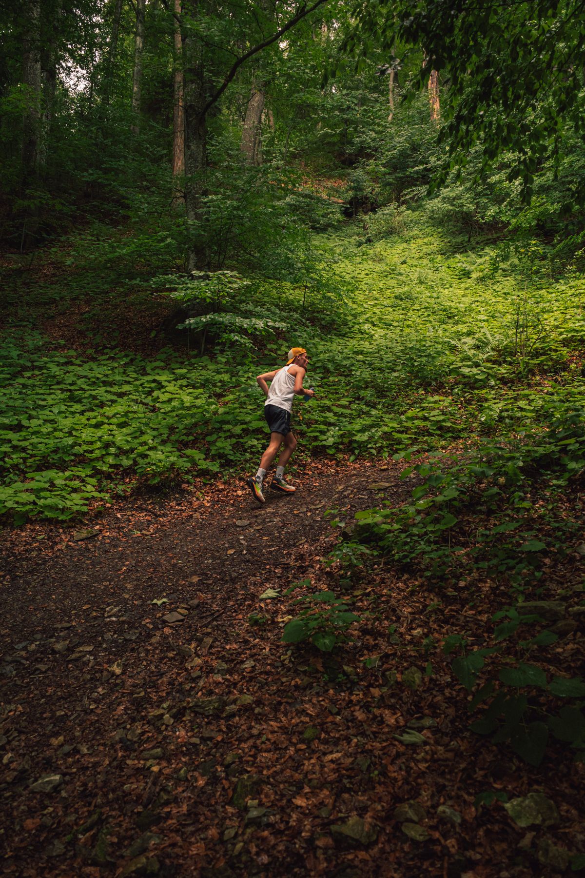 A runner on a narrow earth path through a green forest.
