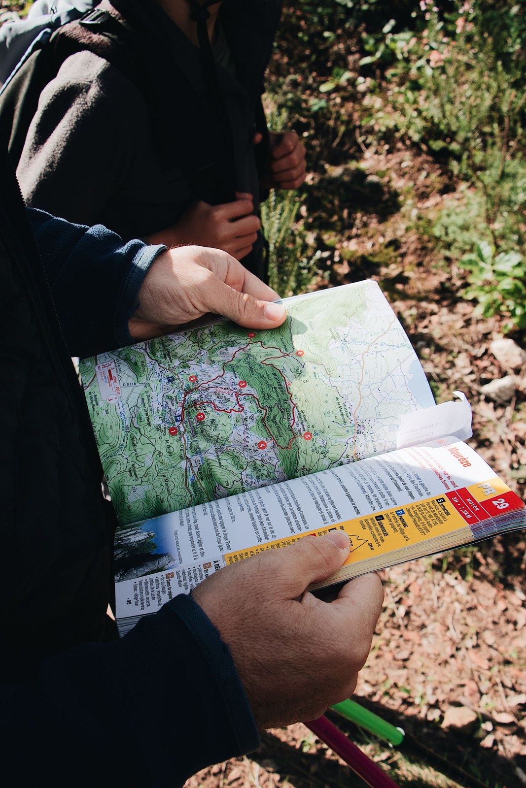 Hands consult a paper map and route guide in a forest.