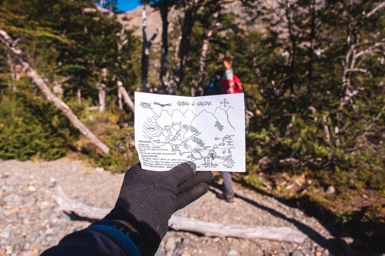 A gloved hand holds a sketched route map in woodland.